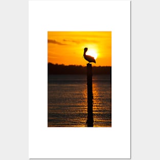 Pelican Silhouette at Sunset Posters and Art